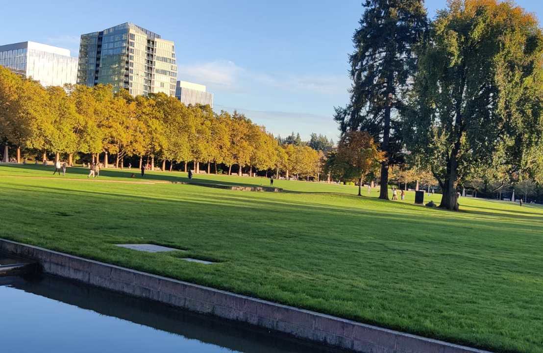 বেলভিউ ডাউনটাউন পার্ক: শহরের ভেতর এক টুকরো প্রশান্তির&nbsp;জঙ্গল